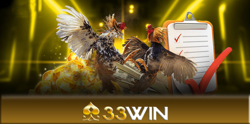 Cách đặt cược trong đá gà 33Win