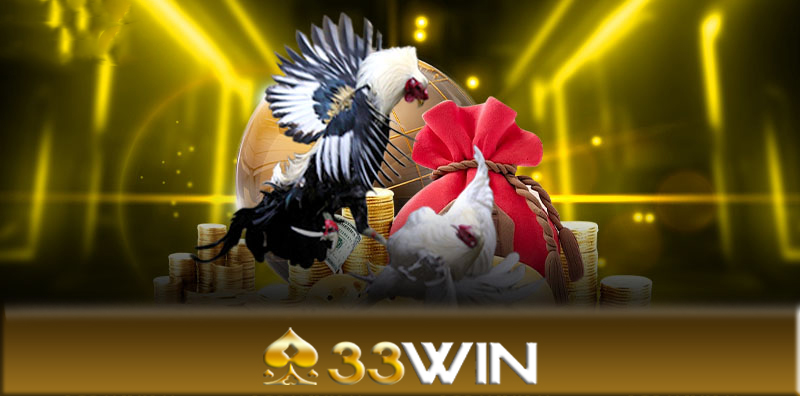 Những lưu ý khi tham gia đá gà 33Win