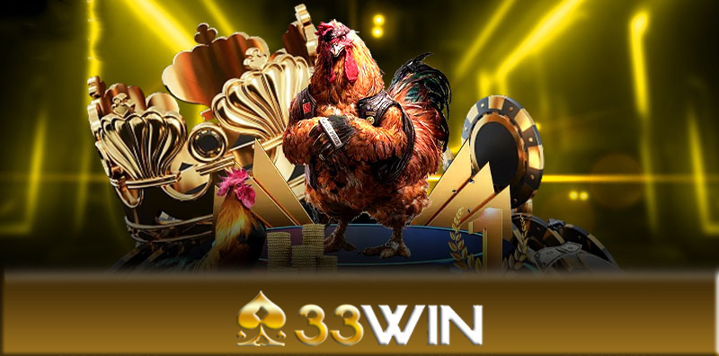 Đá gà 33Win - Hướng dẫn cách thức tham gia chơi đá gà 33Win